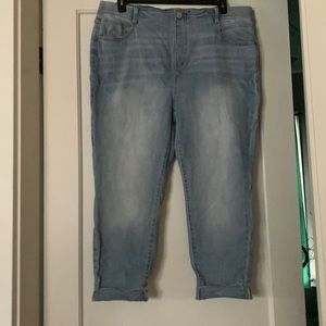 Terra & Sky 1x(16W-18W) Ankle Cropped Jeans